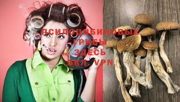 амф Кинешма