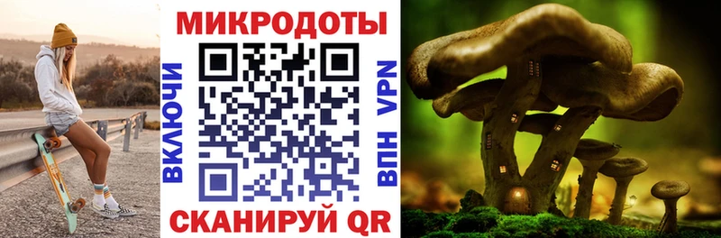 Псилоцибиновые грибы ЛСД  Купить где  Староминская 